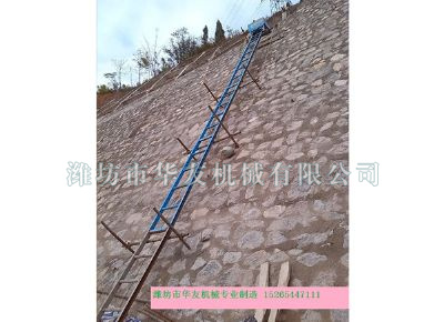 點(diǎn)擊查看詳細(xì)信息<br>標(biāo)題：華友機(jī)械建筑用爬山虎 閱讀次數(shù)：5203